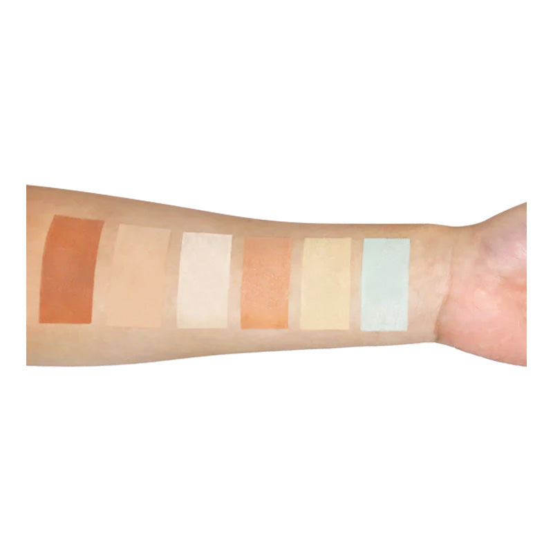 PALETA DE CORRECTORES