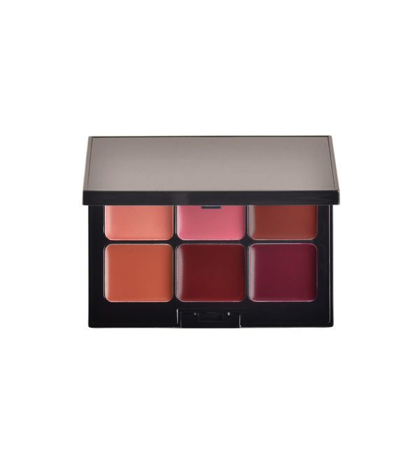 PALETA DE LABIOS - 6 TONOS