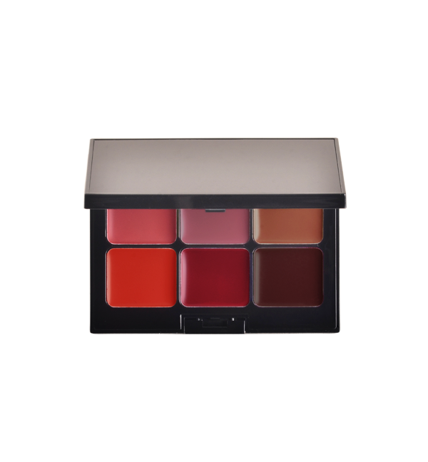 PALETA DE LABIOS - 6 TONOS